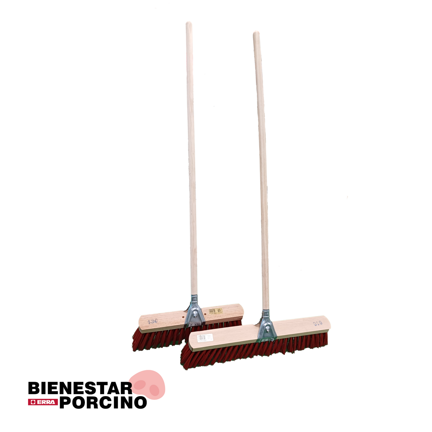 Cepillos barrenderos