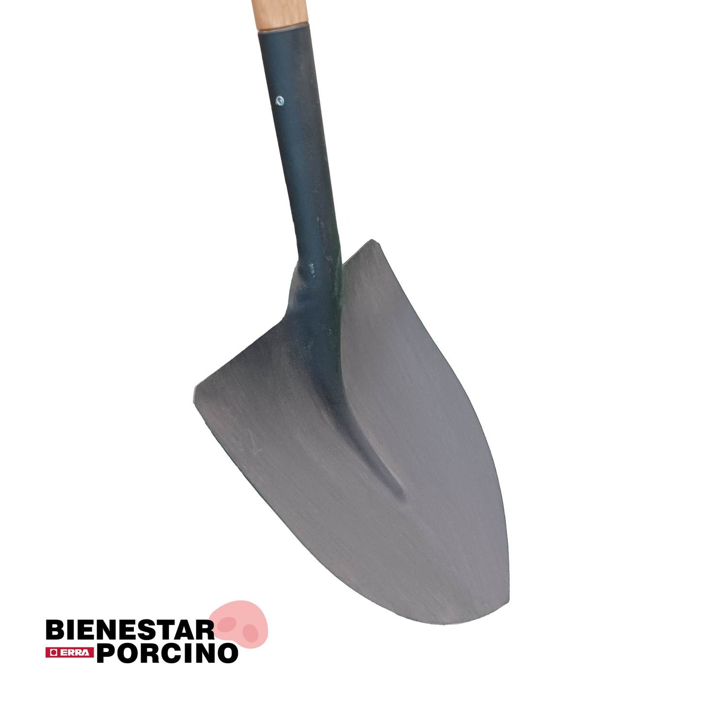 Pala de metal de punta redonda con mango
