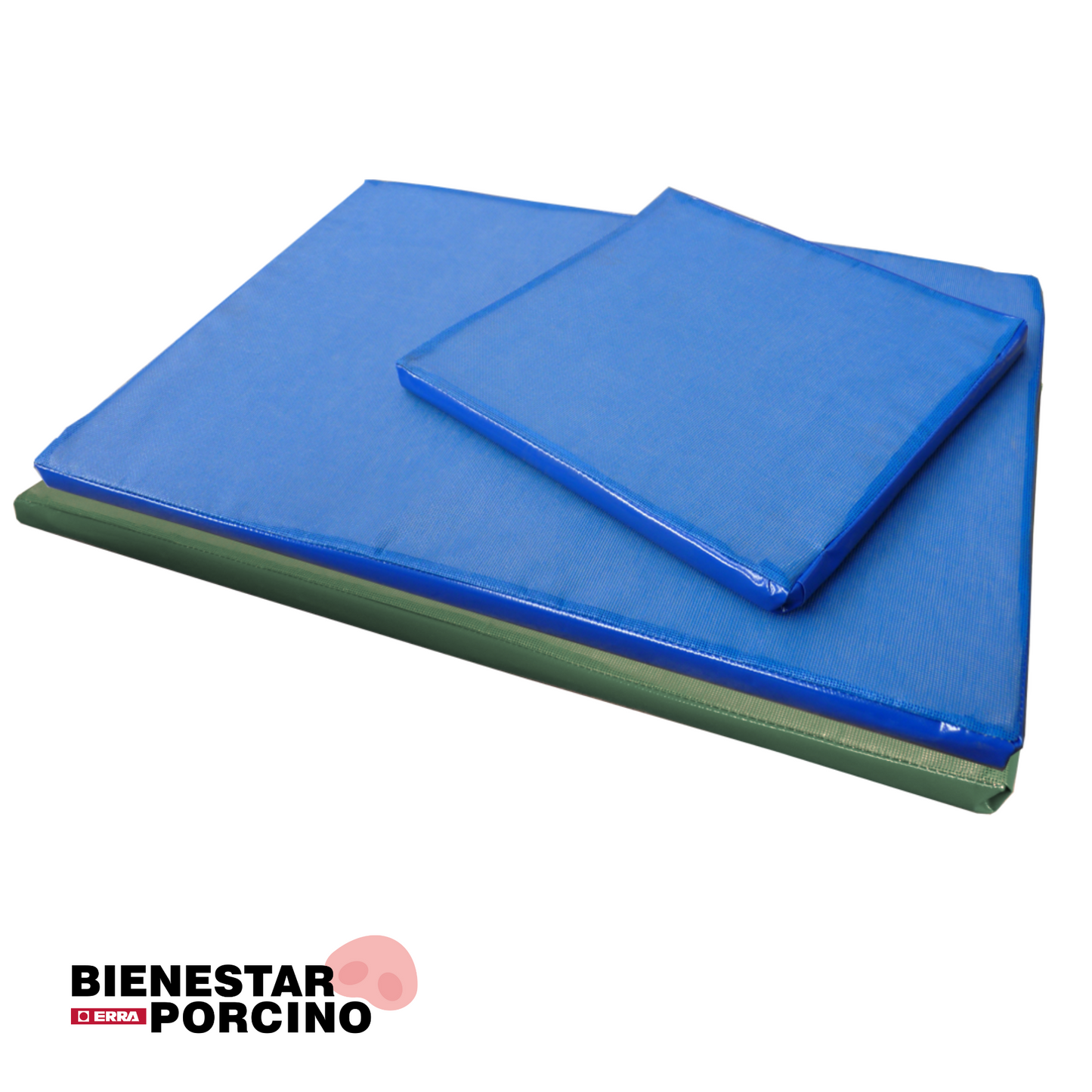Alfombra para desinfección