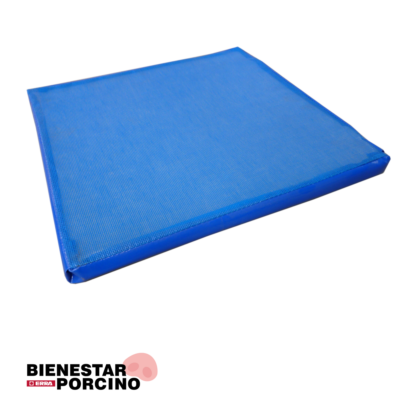 Alfombra para desinfección