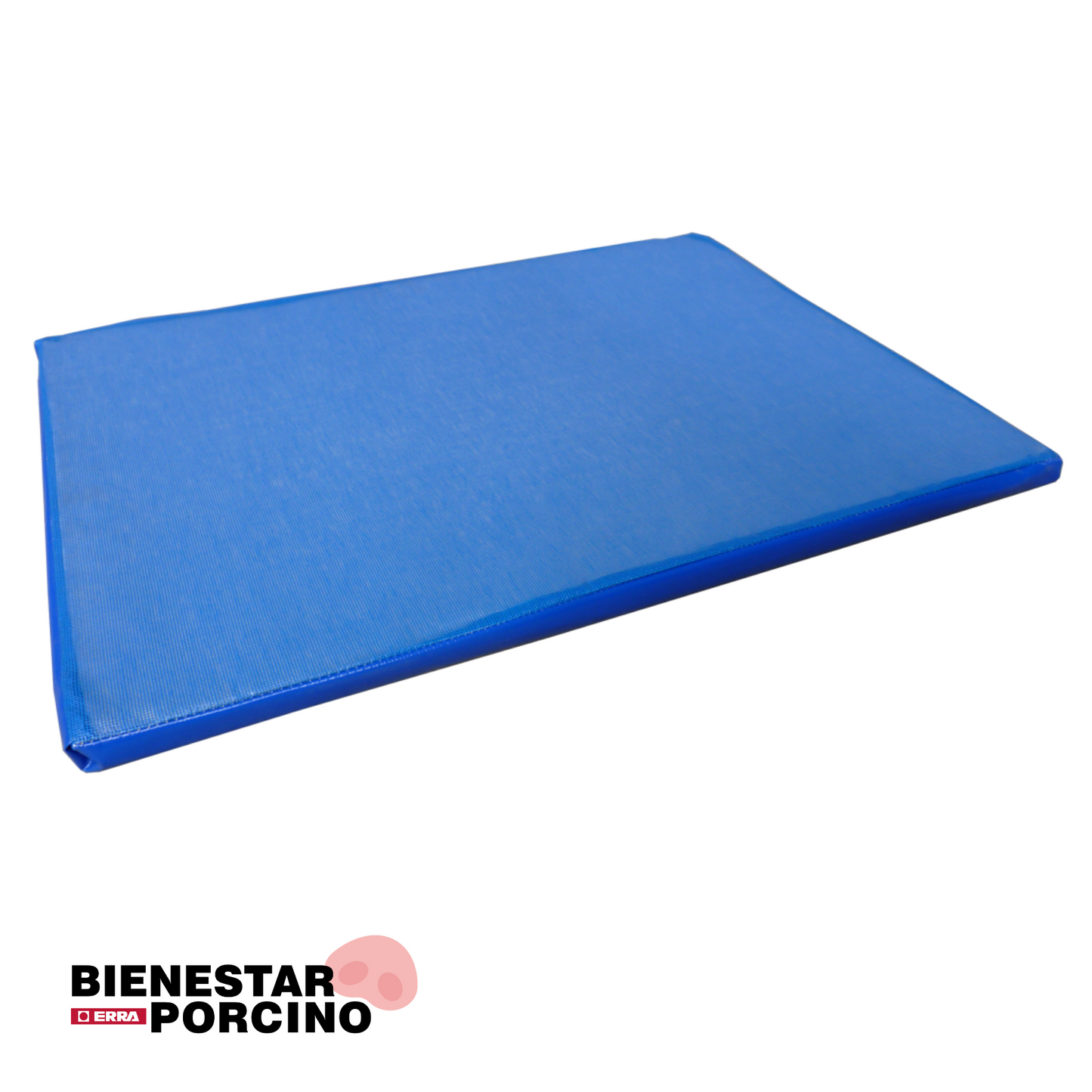 Alfombra para desinfección