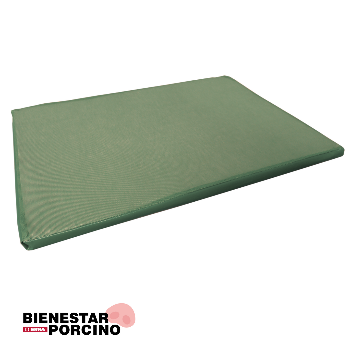 Alfombra para desinfección