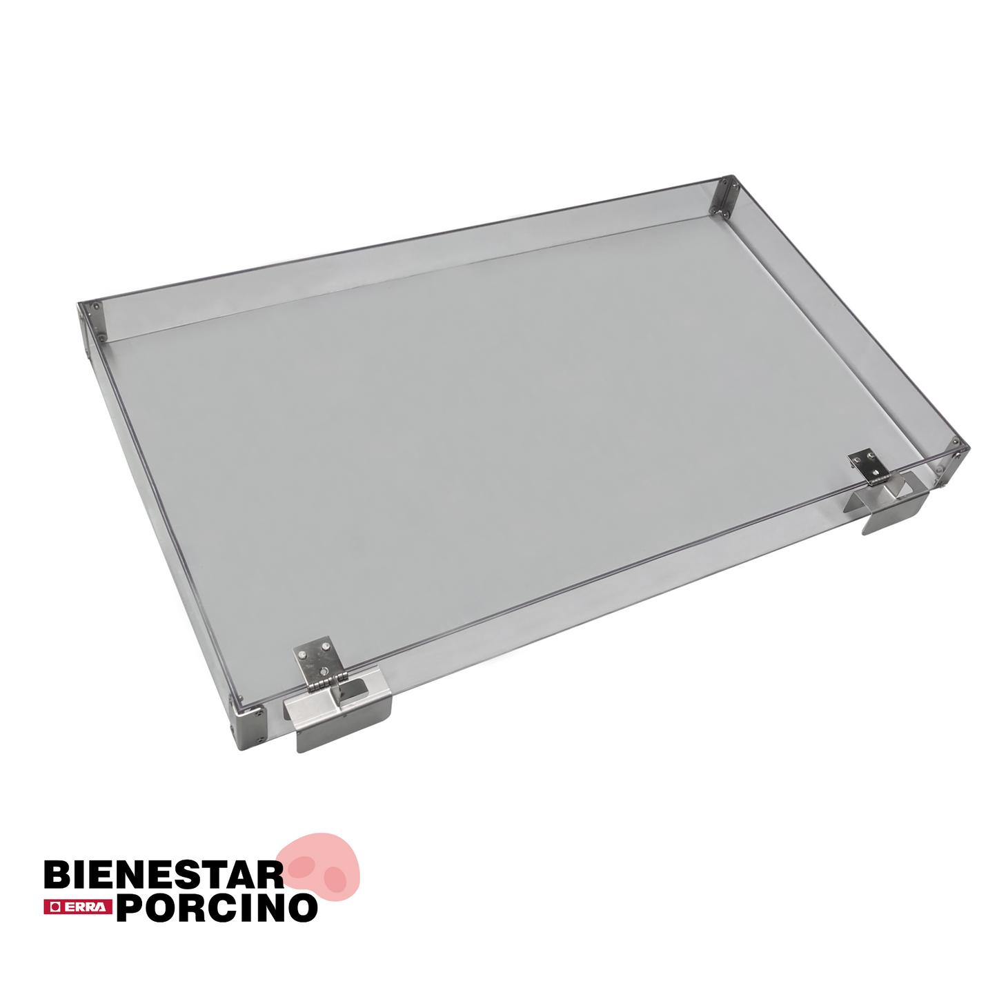 Nido Pig cover transparente