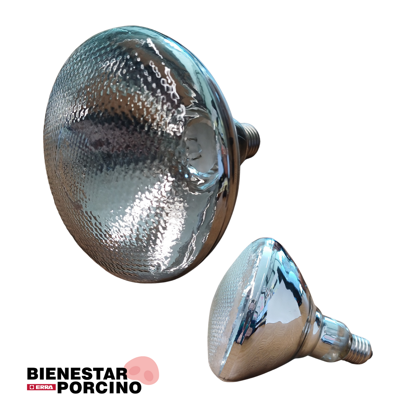 Bombilla blanca