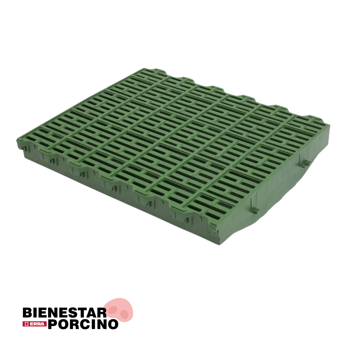 Slats para CERDAS