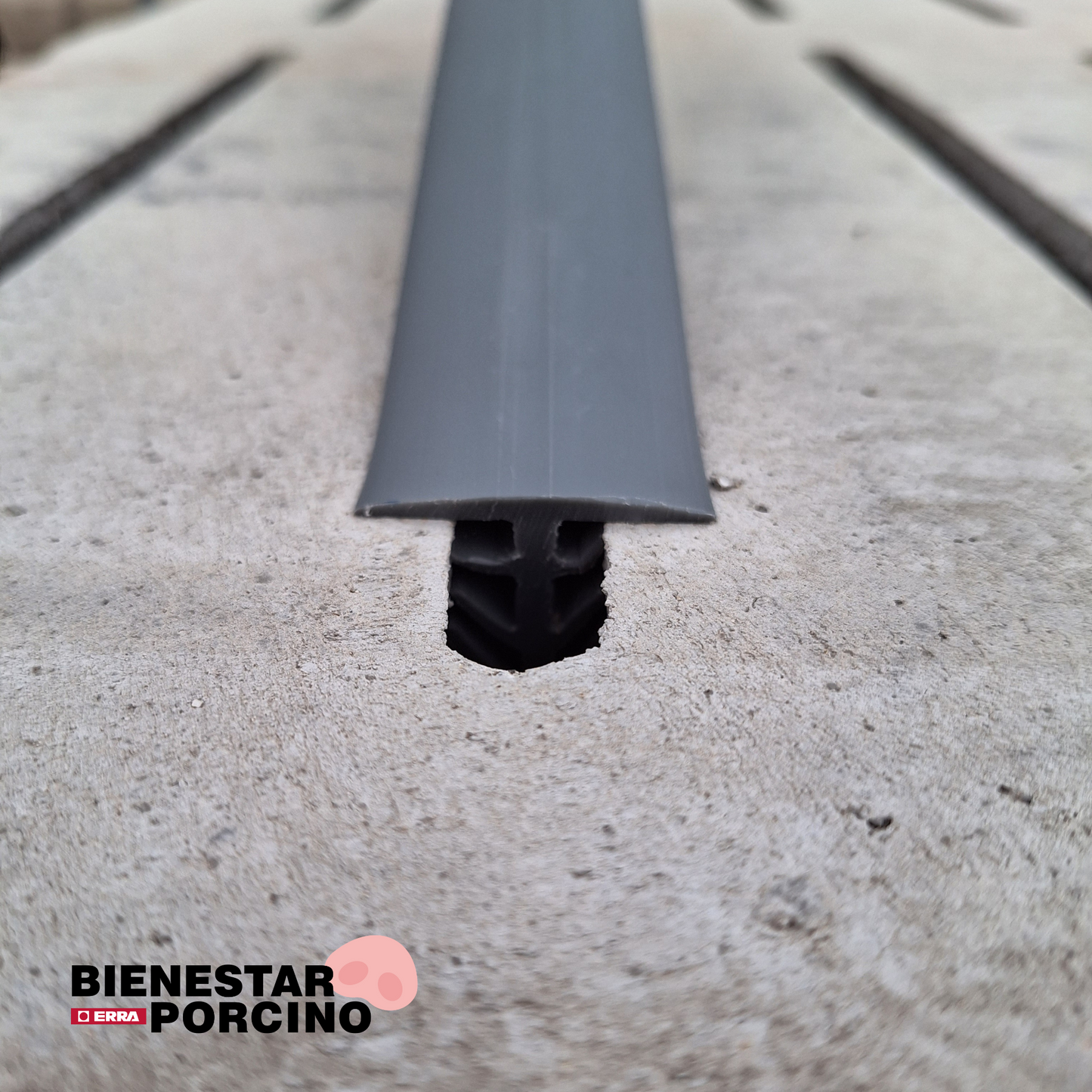 FAST-CLICK tapa slats de hormigón